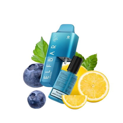 ELFBAR AF5000 - Raisin