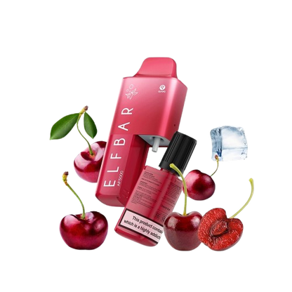 ELFBAR AF5000 - Raisin